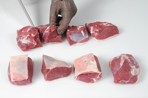 Meat Cut Spec Step 10